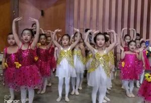 茉莉花开文化艺术中心荣获“2018天津市舞蹈家协会中国舞考级教学成果展演——优秀组织”荣誉称号！